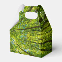 Tittar upp genom grönt träd löv