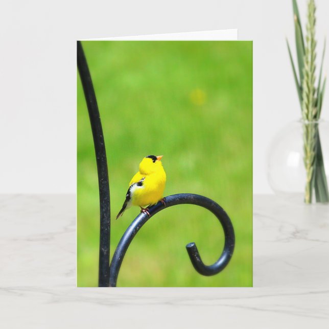 Tittar upp hälsningkort kort (Framsida)