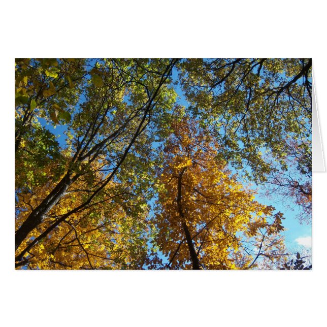 Tittar upp hälsningskort (Framsidan Horizontal)