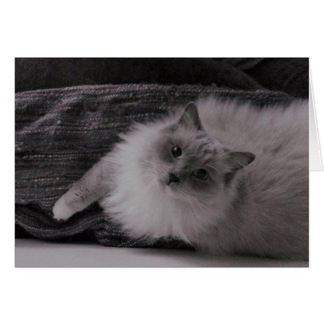 Tittar upp hälsningskort (Framsidan Horizontal)