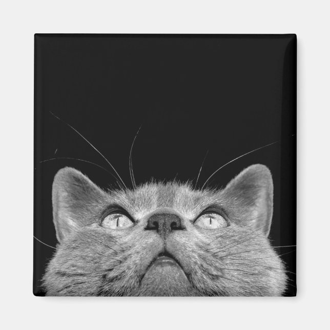 Tittar upp magnet (Framsidan)