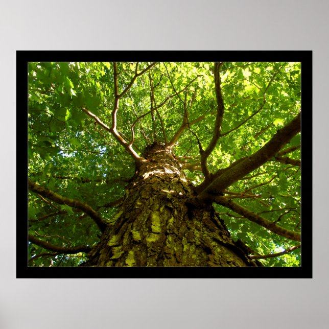 Tittar upp poster (Framsidan)