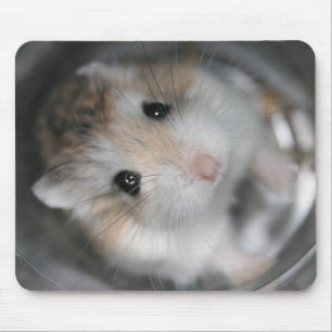 Tittar upp - Tac Mousemat Musmatta