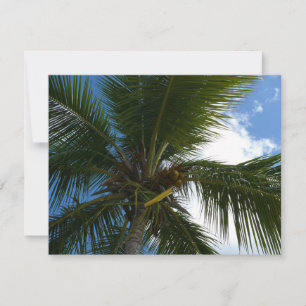 Tittar upp till den tropiska naturen vid kusten Ha