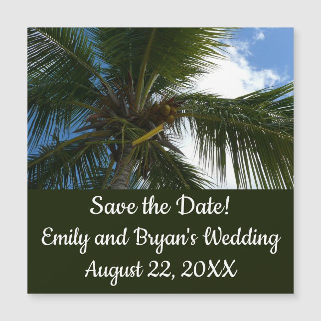 Tittar upp till den tropiska naturen vid kusten Ha (Framsida)