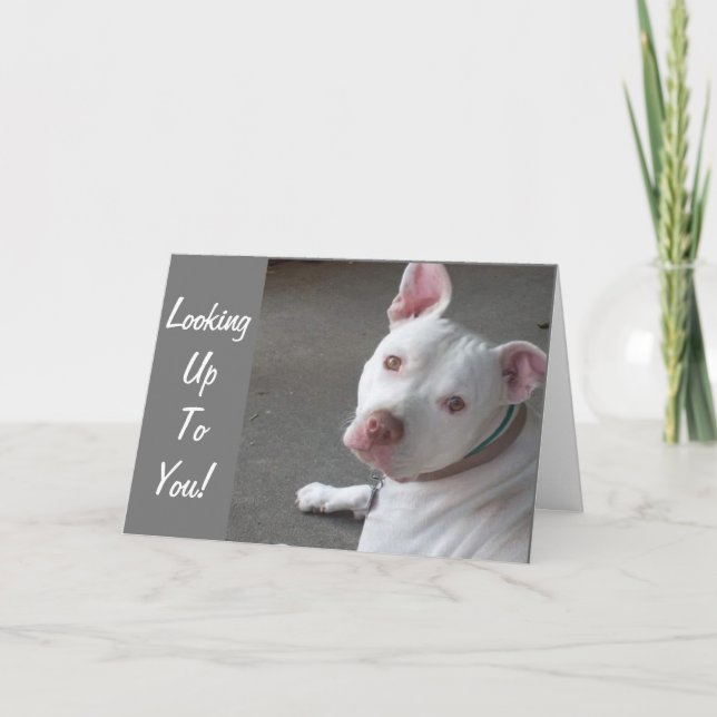 TITTAR UPP TILL DIG FÖR ATT GÅ MIN VÄNNE KORT (Framsida)