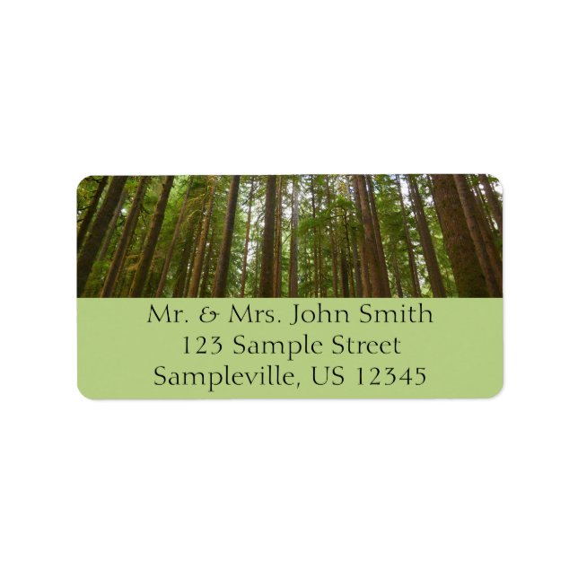 Tittar upp till gammal tillväxtträd adressetikett (Framsidan)