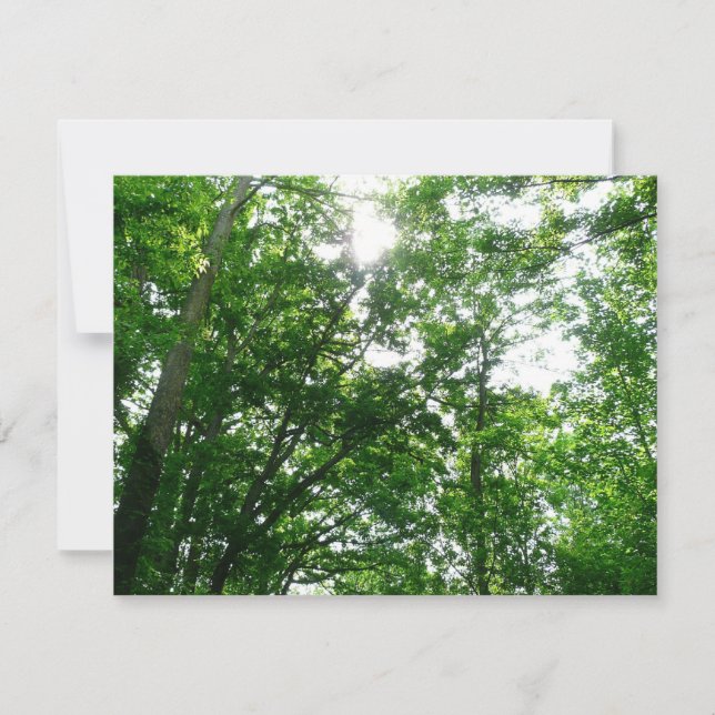 Tittar upp till sommaren Träd (Framsida)