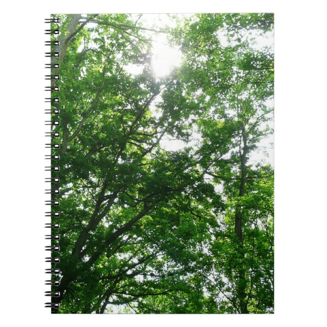 Tittar upp till sommaren Träd Anteckningsbok (Framsidan)