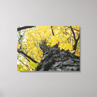 Tittar upp vid Gult Höst löv Canvastryck