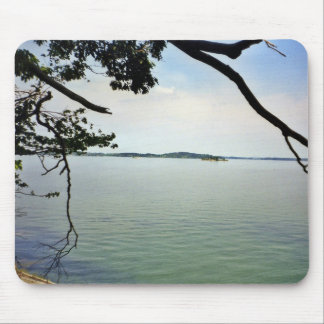 Tittar ut över floden skapat på en musmatta