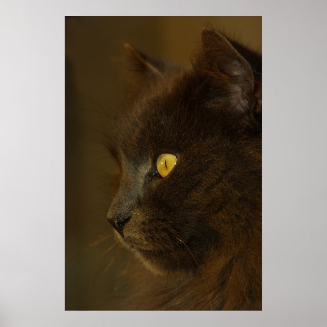 Tittar ut poster (Framsidan)