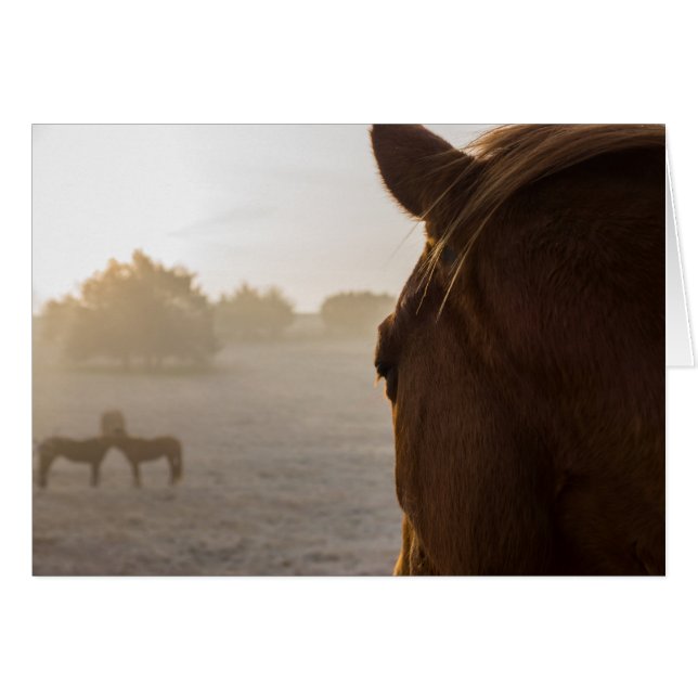 Tittar vidare hälsningskort (Framsidan Horizontal)