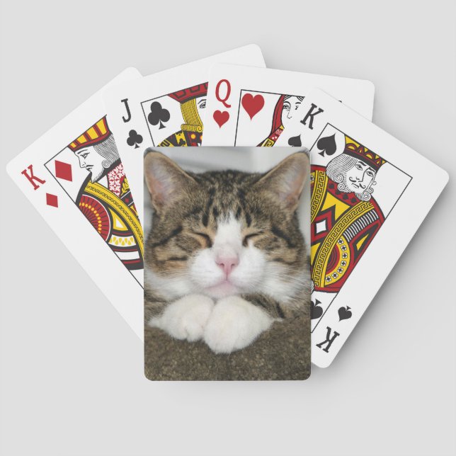 TJ CASINOKORT (Baksidan)