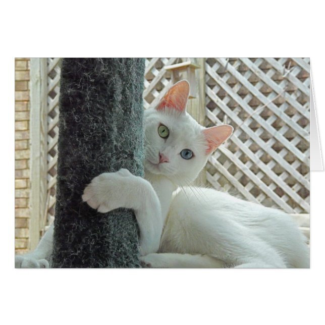 Tjänstegringskort Hälsningskort (Framsidan Horizontal)