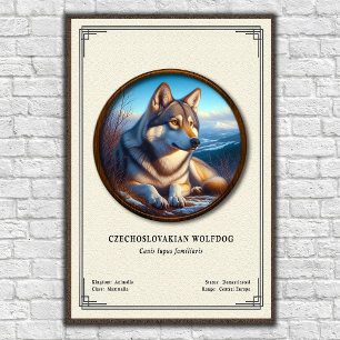 Tjeckoslovakisk Varghund Zoologi Serie Poster