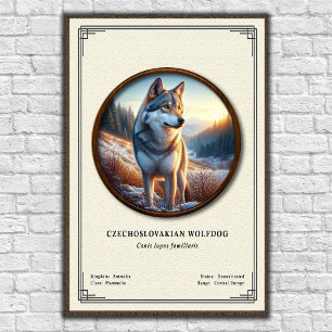 Tjeckoslovakisk Varghund Zoologi Serie Poster