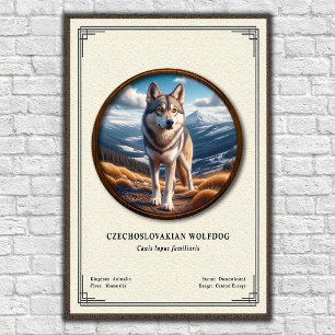 Tjeckoslovakisk Varghund Zoologi Serie Poster