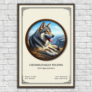 Tjeckoslovakisk Varghund Zoologi Serie Poster