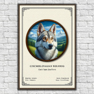 Tjeckoslovakisk Varghund Zoologi Serie Poster