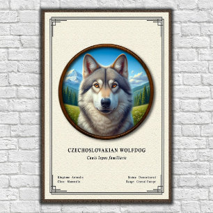 Tjeckoslovakisk Varghund Zoologi Serie Poster