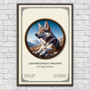 Tjeckoslovakisk Varghund Zoologi Serie Poster