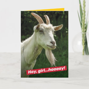 Tjejen, Ryan Gosling Goat Spoof Kort