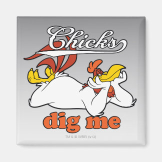 Tjejjer gillar mig magnet