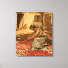 Tjejsarsnitt i Provence (Frankrike) Canvastryck