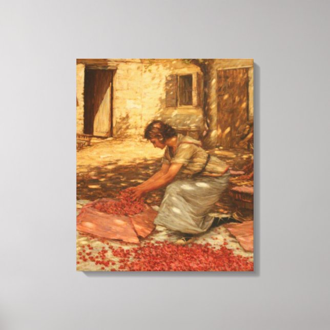 Tjejsarsnitt i Provence (Frankrike) Canvastryck (Framsida)