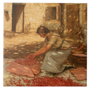 Tjejsarsnitt i Provence (Frankrike) Kakelplatta