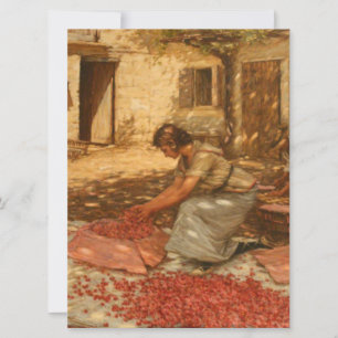 Tjejsarsnitt i Provence (Frankrike) Kort