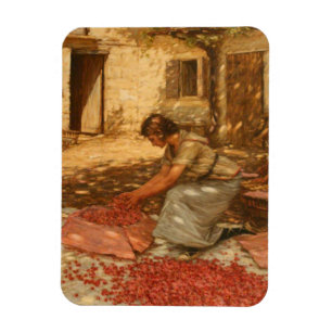 Tjejsarsnitt i Provence (Frankrike) Magnet