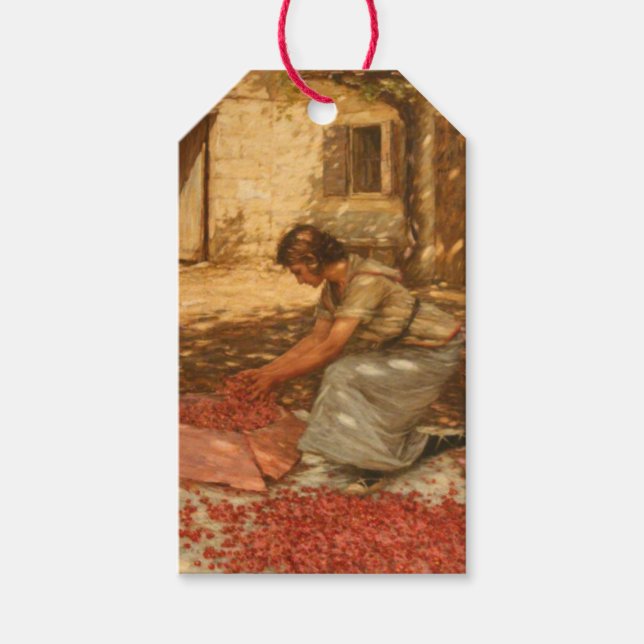 Tjejsarsnitt i Provence (Frankrike) Presentetikett (Framsidan)