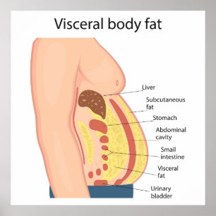 Tjock av visceralt organ poster