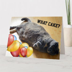 TJOCK CAT ATE CAKE FUNNY BIG FÖDELSEDAGSKORT KORT