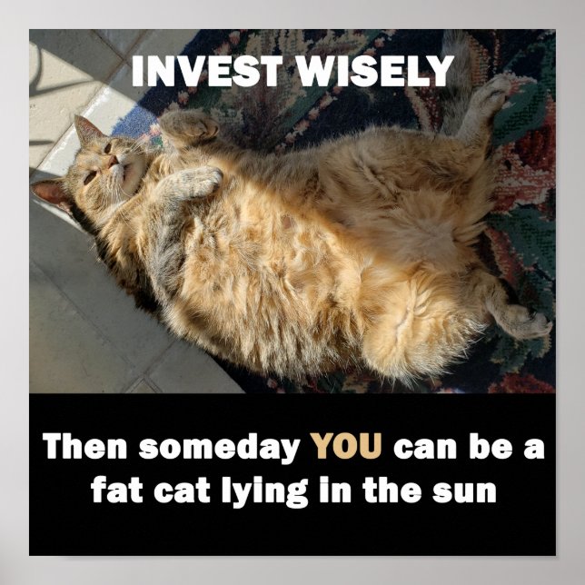 Tjock Cat Invest Wisely Meme Poster (Framsidan)