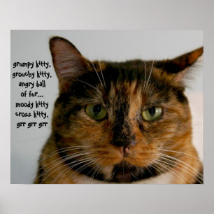 Tjock Cat med Attitude, grumpy kattunge sång Poster