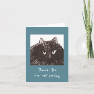 Tjock Cat Pet-Sitter Tack