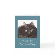 Tjock Cat Pet-Sitter Tack