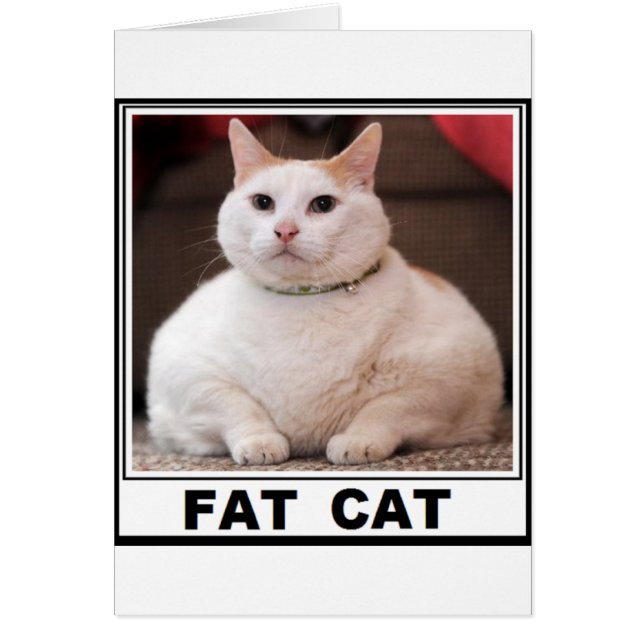 TJOCK CAT SMILE HÄLSNINGSKORT (Framsidan)