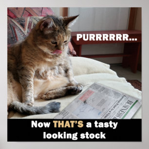 Tjock Cat Tasty Lagrar Meme Poster