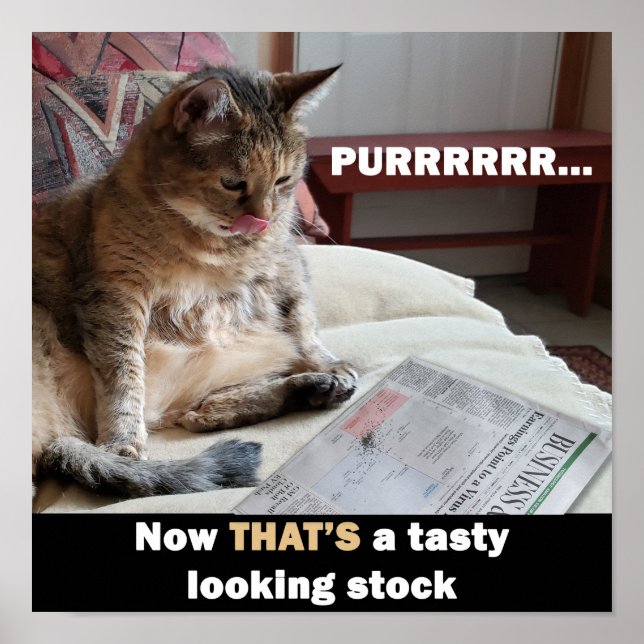 Tjock Cat Tasty Lagrar Meme Poster (Framsidan)