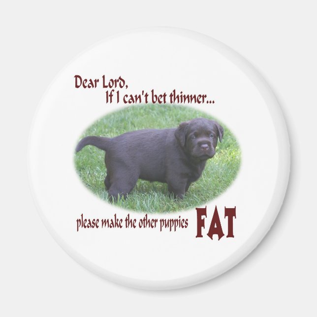 Tjock Chocolate Lab Puppy Humor Magnet (Framsidan)