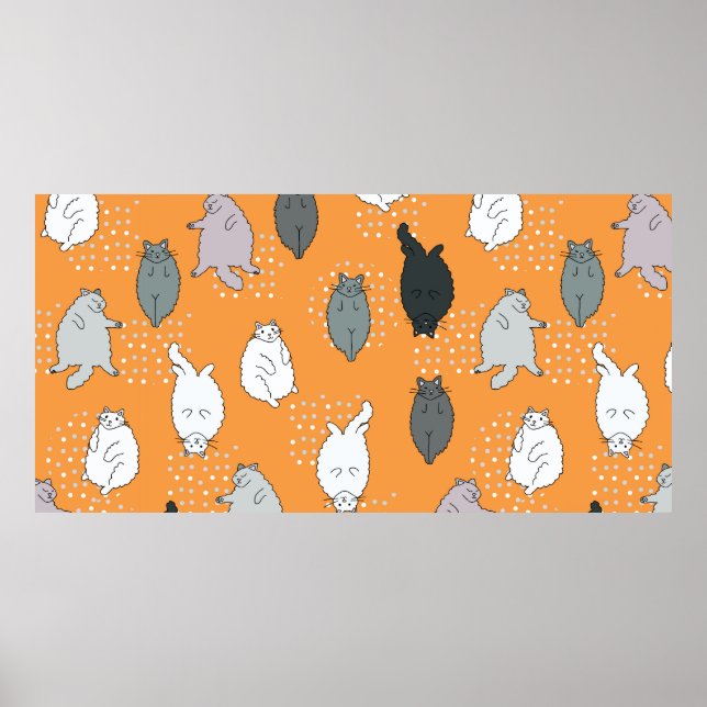 Tjock, fluffa katter ljuger på ryggen. Cute Co Poster (Framsidan)