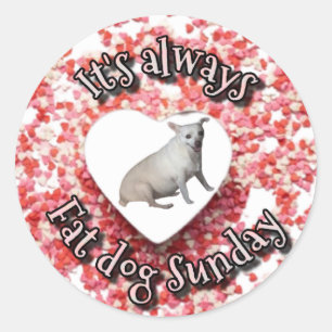 Tjock hund Sticker Runt Klistermärke