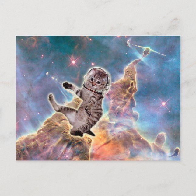 Tjock kattastronaut vykort (Framsida)