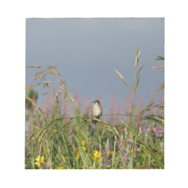 Tjock lille Hummingbird Anteckningsblock (Framsida)