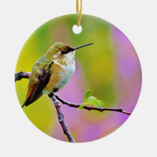 Tjock lille Hummingbird Julgransprydnad Keramik