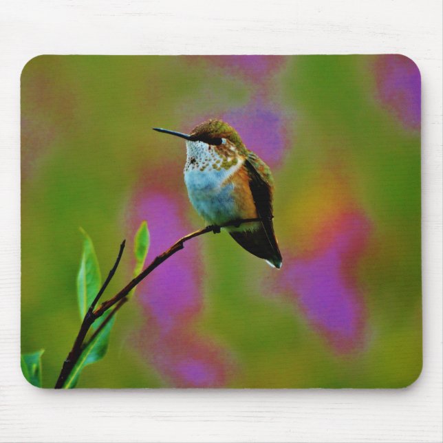 Tjock lille Hummingbird Musmatta (Framsidan)